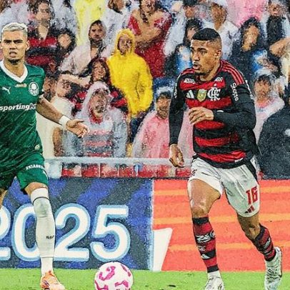 Mesmo com derrota, Palmeiras ainda tem mais chances de título que o Flamengo