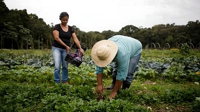 Medida Provisória libera R$ 190 milhões para fortalecer agricultura familiar