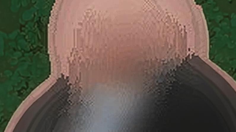 Rankings de QBs NFL Week 13: Allen cai para Tier 2; onde fica Sanders