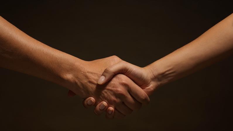 Two hands in a handshake.