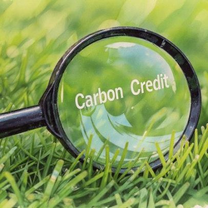 Coligação lança esforço para impulsionar mercados de créditos de carbono