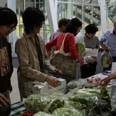 Mente, mão e colheita: estudo liga cognição ao trabalho rural