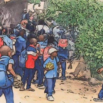 Árvore que servia de sala de aula desaba em escola de Moçambique