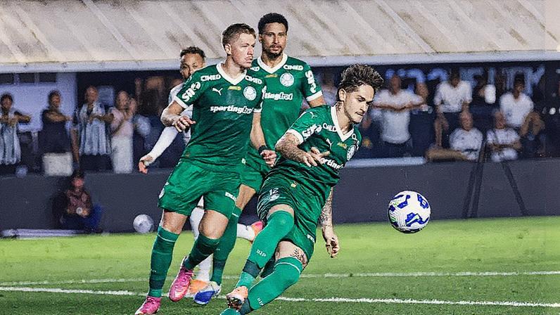 Palmeiras perdeu para o Santos no Brasileirão (Foto: Everton Okubo/Agência F8/Gazeta Press)