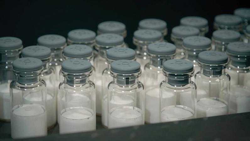 © Butantan/Divulgação