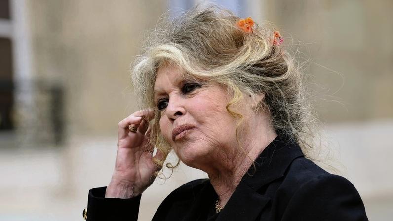 Brigitte Bardot, em foto de 2007 – Foto: Eric Feferberg/AFP