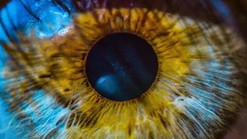 Tela que simula profundidade rastreia o olhar sem óculos 3D