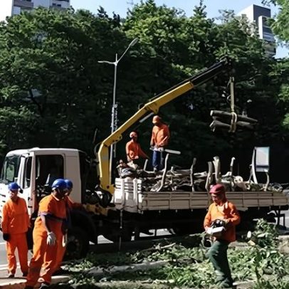 Após ventania, 1,5 milhão ficam sem energia em SP