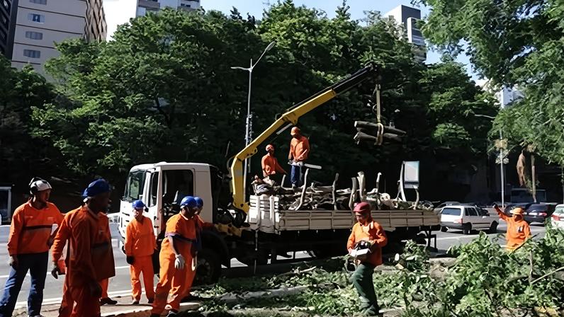 São Paulo (SP), 10/12/2025 – Profissionais da prefeitura trabalham para remover árvore caída na avenida 23 de Maio após tempestade com fortes ventos na capital paulista. Foto: Rovena Rosa/Agência Brasil