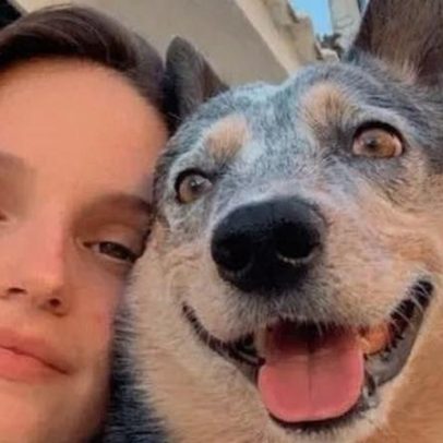 Cachorro sobrevive a acidente e fica ao lado da tutora morta no ES