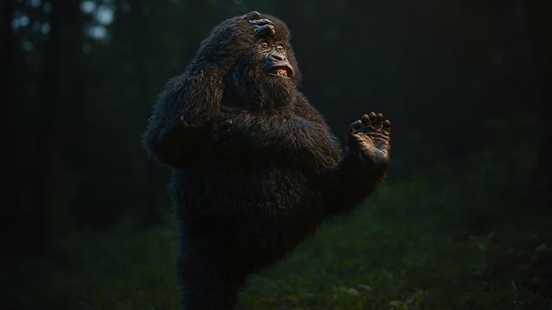 Gorila dançarino e batismo de sapo entre as fotos de animais engraçadas do ano