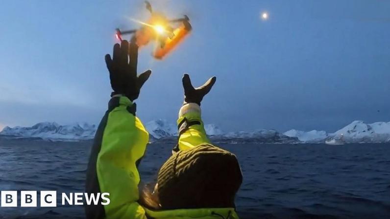 Drones detectam vírus letal no hálito de baleias árticas