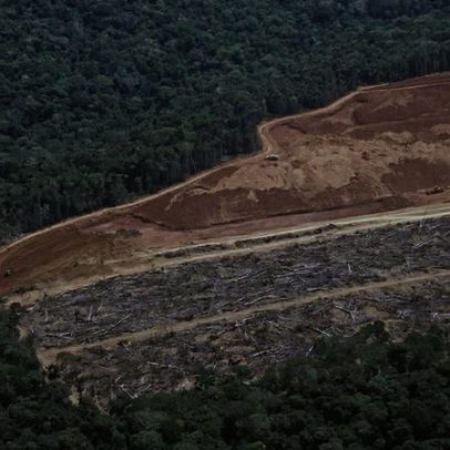 UE aprova novo adiamento de lei antidesmatamento