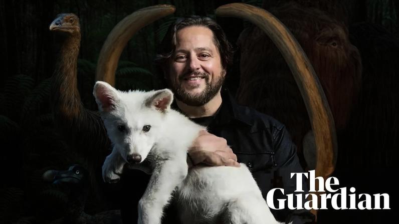 Ben Lamm, founder of Colossal Biosciences, holding a ‘dire wolf’ cub in front of illustrations of three other extinct animals he hopes to revive: the giant moa, the dodo and the woolly mammoth.