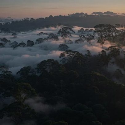 Desmatamento caiu em 2025, mas riscos persistem