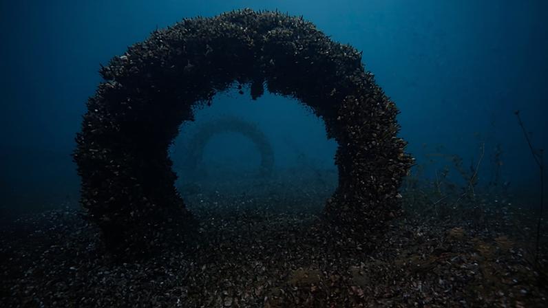 The concrete arch of an old culvert is covered in quaggas in Lake Geneva, Switzerland. Photograph: Stephan Jacquet/INRAE