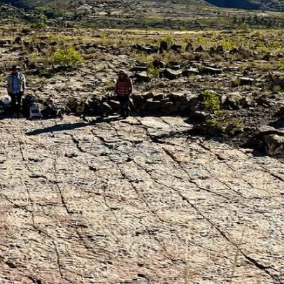 Bolívia registra maior concentração de pegadas de dinossauros do mundo
