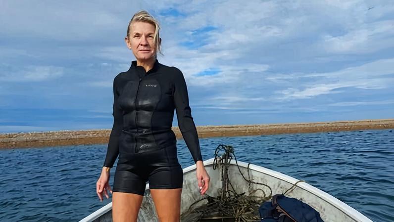 Mudança na costa de Norfolk, esforço para restaurar milhões de ostras