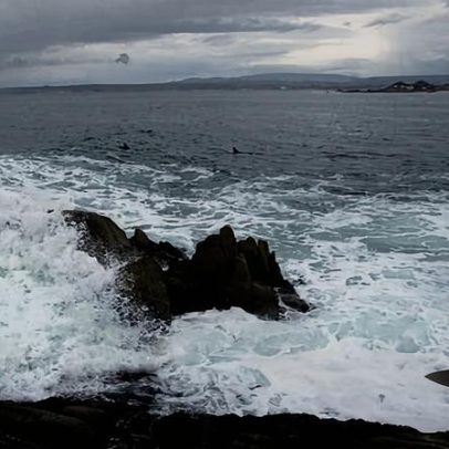 Corpo de triatleta encontrado em praia da Califórnia após ataque de tubarão