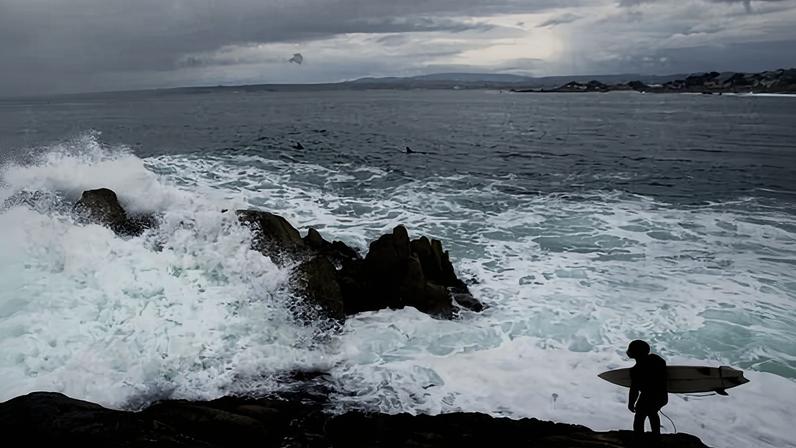 Corpo de triatleta encontrado em praia da Califórnia após ataque de tubarão