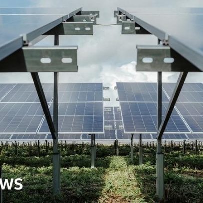 Plano de usina solar em faixa cinza é rejeitado
