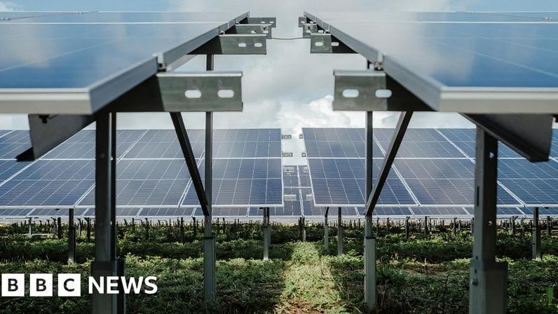 Councillors decided the "perceived benefits" of the solar farm scheme did not "clearly outweigh" the harms.