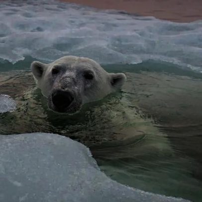 Ártico registra ano mais quente confirmado, com borealização e rios enferrujados
