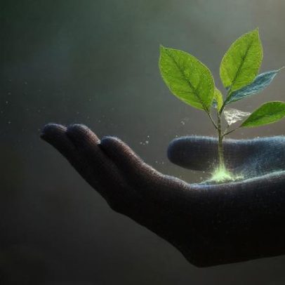 HashKey Capital fecha US$ 250 mi para Fundo IV e mira US$ 500 mi sob gestão