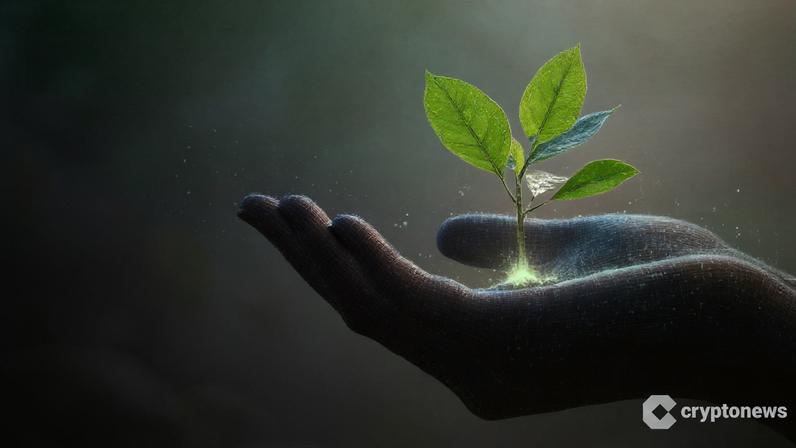 HashKey Capital fecha US$ 250 mi para Fundo IV e mira US$ 500 mi sob gestão