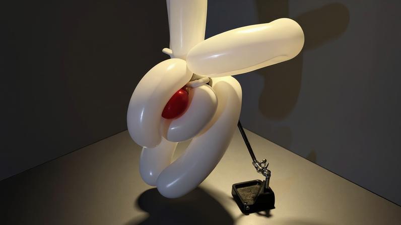 Fotografia da cabeça do coelho de balão que foi usado na capa.