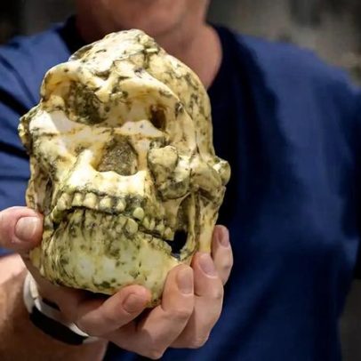 Fóssil Pé Pequeno pode ser nova espécie de hominídeo, aponta estudo