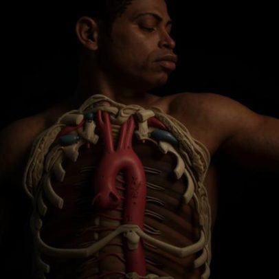 Exposição anatômica inclui desenho raro de corpo negro do período vitoriano