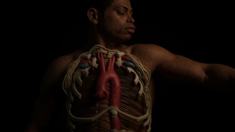 Detail from the image of a black man. It was removed from the US publication of Surgical Anatomy, with racial prejudice and segregationist attitudes blamed for the decision. Illustration: Mark Newton Photography