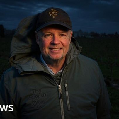 Fazenda em Lincolnshire usa mudanças climáticas para azeitonas em Long Sutton
