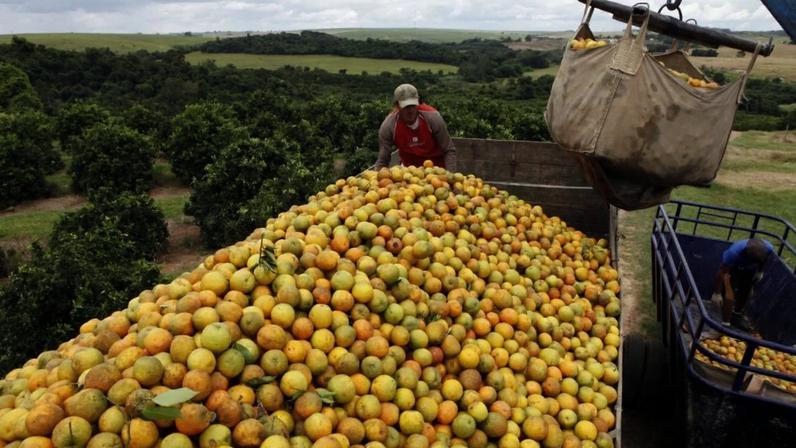Citrosuco destaca a experiência global do PSP em investimentos agrícolas e florestais