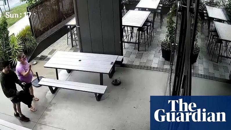 Baby seal waddles into a New Zealand bar – video