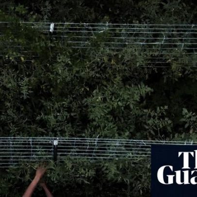 Trump anuncia pacote de US$12 bilhões para agricultores dos EUA