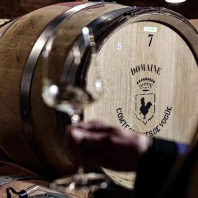 Burgundy 2024: o que esperar de uma safra instável