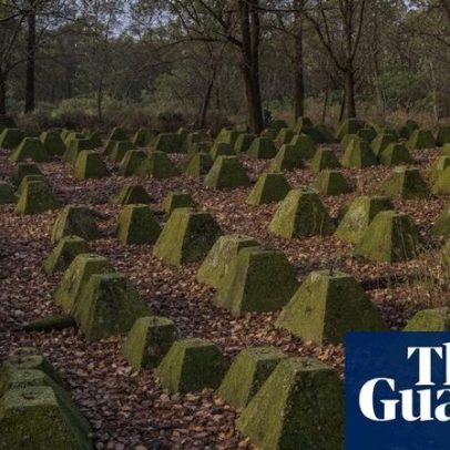Dentes de dragão e jardim de elfos entram na lista de patrimônio inglês 2025