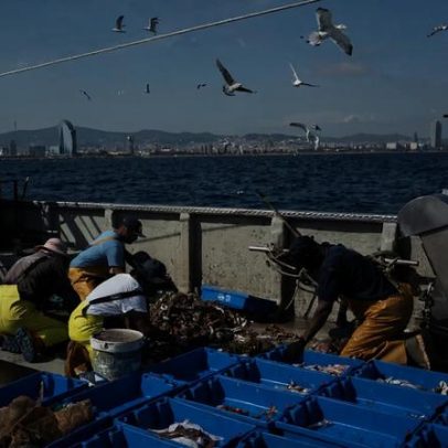 UE autoriza pescadores do Mediterrâneo a pescar por mais de 140 dias em 2026