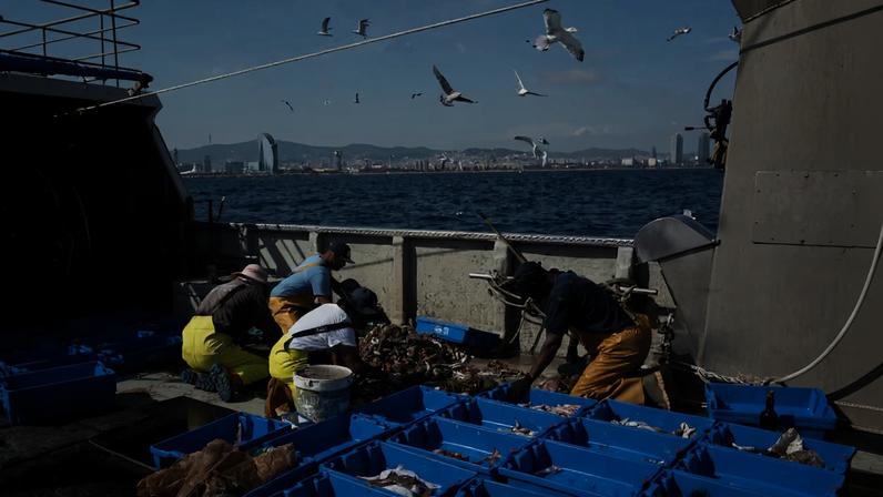 UE autoriza pescadores do Mediterrâneo a pescar por mais de 140 dias em 2026