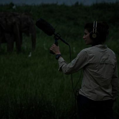 Relato multimídia da Mongabay vence prêmios internacionais de jornalismo em 2025