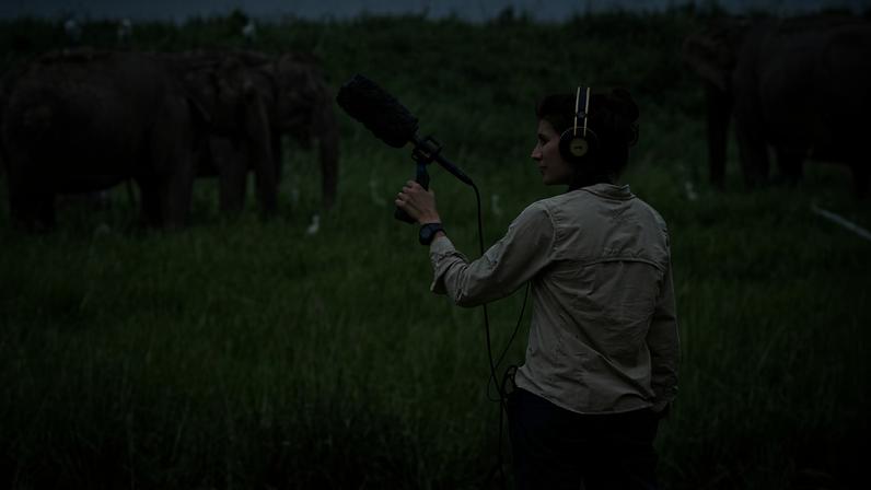 Relato multimídia da Mongabay vence prêmios internacionais de jornalismo em 2025