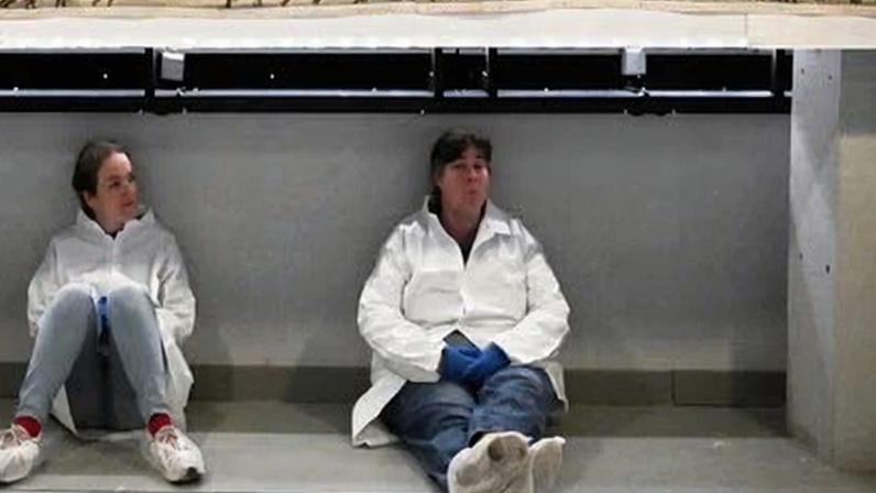 Tapeçaria de Bayeux garantida em £800 milhões para exposição no British Museum