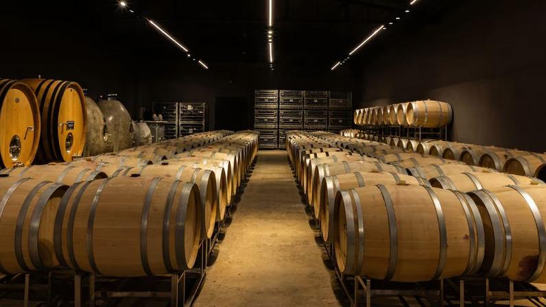 Góes lança nova marca para ampliar presença no vinho premium