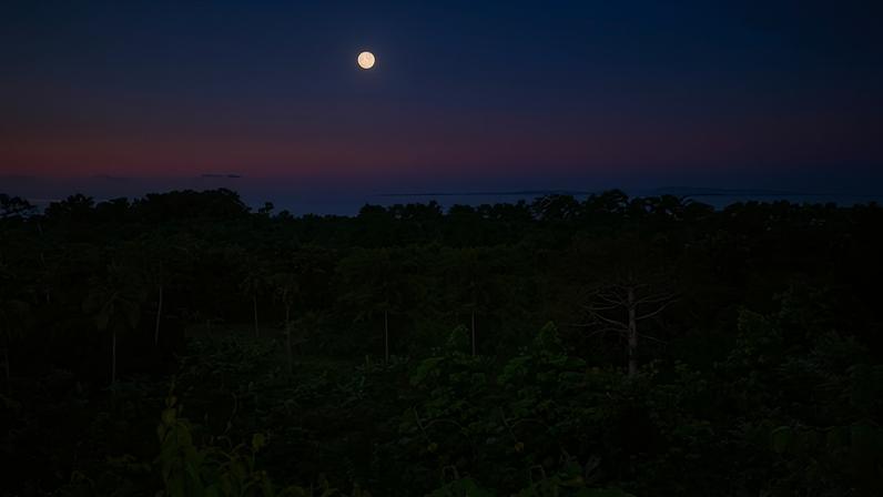 The Darién Gap between Central and South America is one of the world’s most remote and biodiverse rainforests. Photograph: The Darien Landscape Collection by Oyvind Martinsen/Alamy