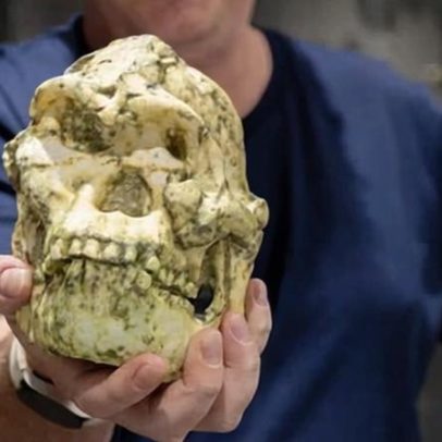 Fóssil de Little Foot pode representar nova espécie de ancestral humano