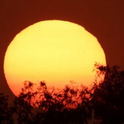Alerta de onda de calor atinge grande parte da Austrália com 40°C previstos