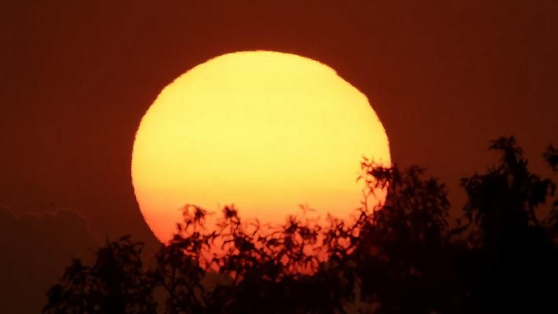 There are heatwave warnings for large parts of New South Wales, the Northern Territory and Western Australia. Photograph: Dave Hunt/AAP