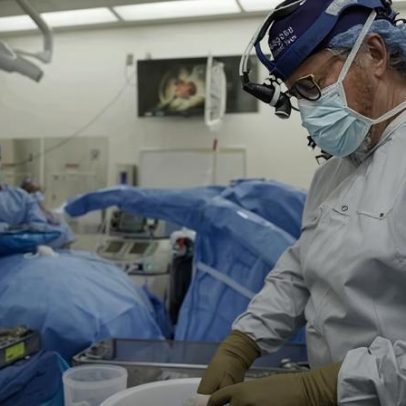 Transplantes de órgãos de porcos podem superar os humanos, diz especialista